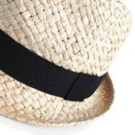 Sombrero Festival - Imagen 3