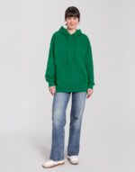 Sudadera Iconic 250 con capucha - Image 12