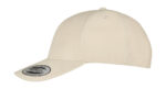 Cap Premium con Curved Visor 5 Panel - Image 6
