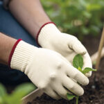 Guantes Protección 100% algodón VALENTO BREIL