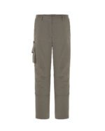 ARIZONA LADY (CARGO) - Image 5