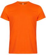 New Classic-T - Image 7