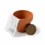 Maceta con Semillas de Girasol Stamina Girax 1036 - Imagen 3