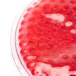 Parche Térmico de Gel Stamina Gelox 1851 - Imagen 2