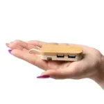 Puerto USB con Soporte Stamina Kruse 1050 - Imagen 2