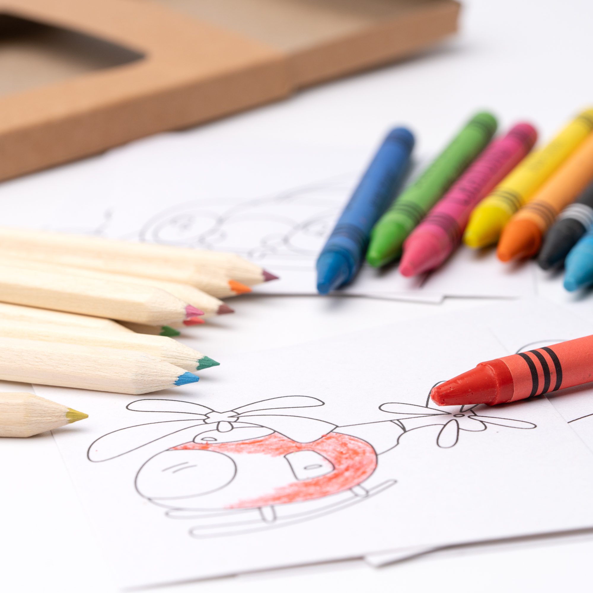 Set de Colores Stamina Patley 1874 - Image 4