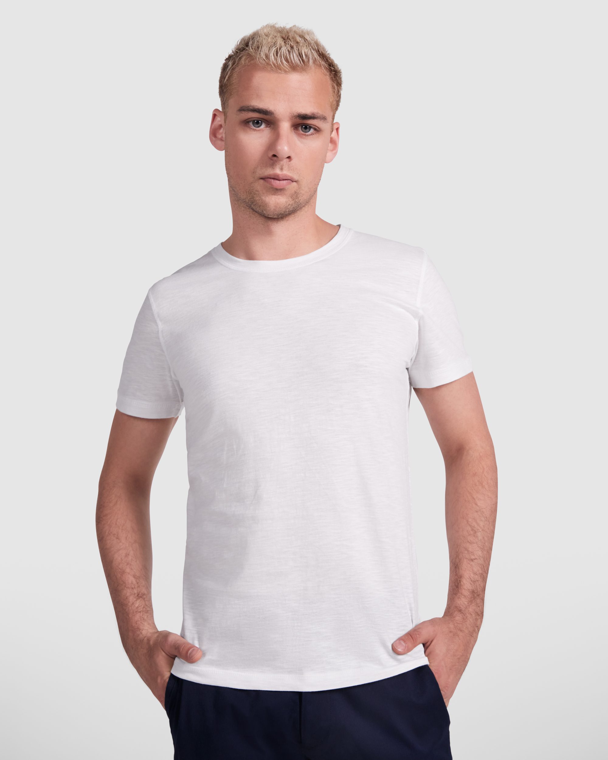 0396_01_1_1.jpg TERRIER - Image 1