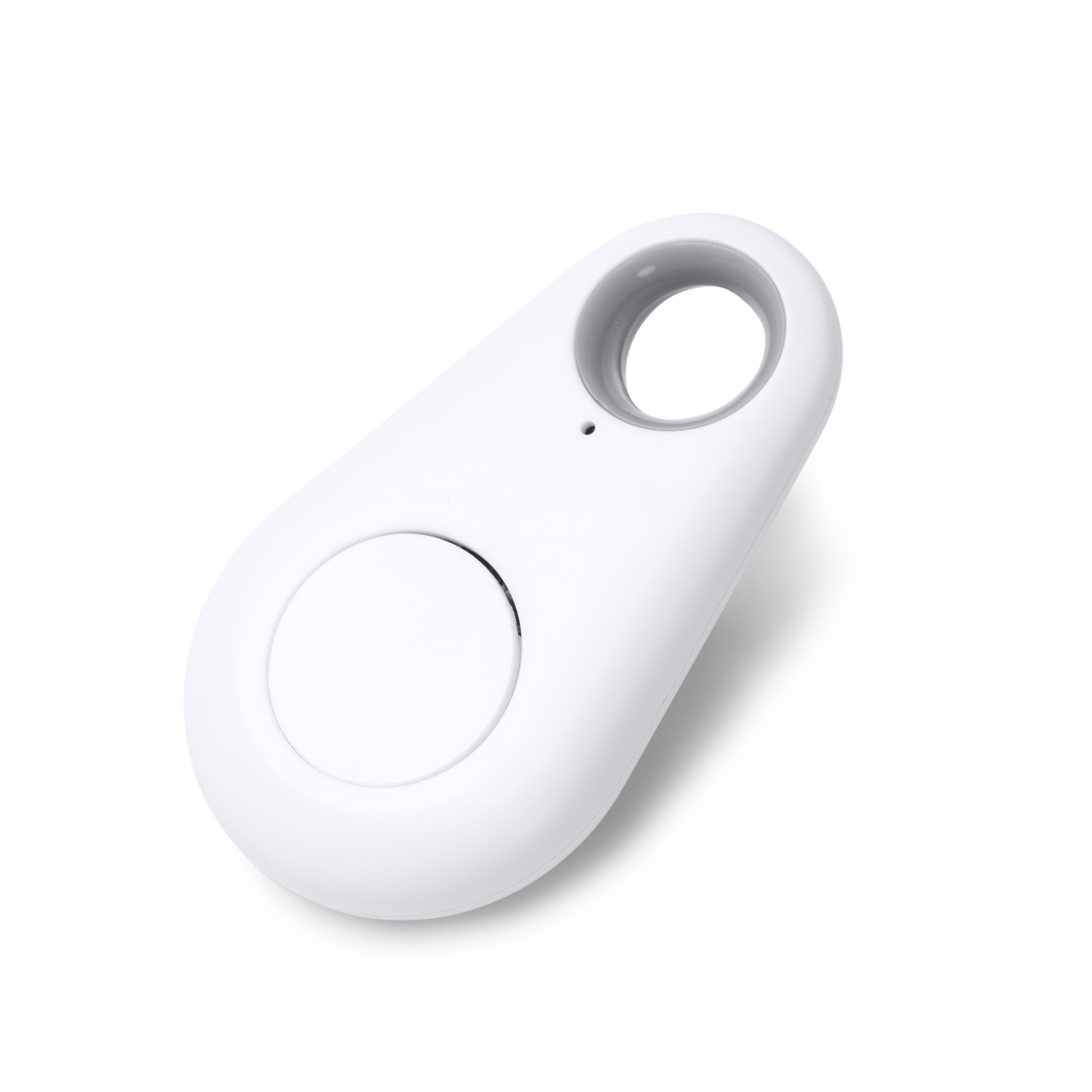 1843_01_1_1.jpg #!trpst#trp-gettext data-trpgettextoriginal=1494#!trpen#FINDY - Image 1#!trpst#/trp-gettext#!trpen#