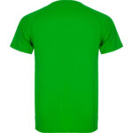 MONTECARLO - Image 21